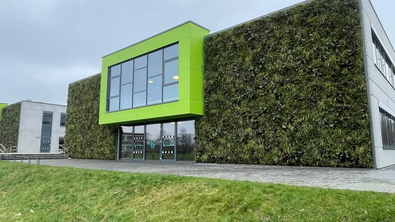 Nowoczesny budynek z zieloną elewacją domu, pokrytą gęstą roślinnością. Jasnozielony akcent architektoniczny z oknami.