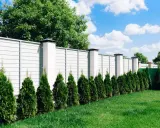 Nowy, biały płot z betonowymi słupkami, otaczający posesję przy drodze gminnej. Rząd zielonych żywotników tworzy naturalną barierę.