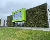 Nowoczesny budynek z zieloną elewacją domu, pokrytą gęstą roślinnością. Jasnozielony akcent architektoniczny z oknami.