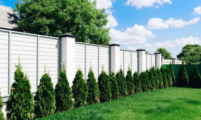 Nowy, biały płot z betonowymi słupkami, otaczający posesję przy drodze gminnej. Rząd zielonych żywotników tworzy naturalną barierę.