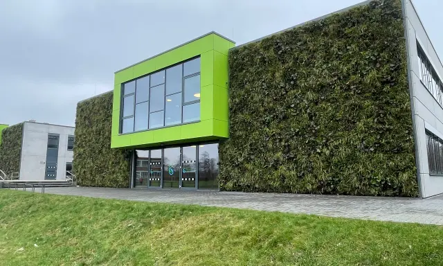 Nowoczesny budynek z zieloną elewacją domu, pokrytą gęstą roślinnością. Jasnozielony akcent architektoniczny z oknami.