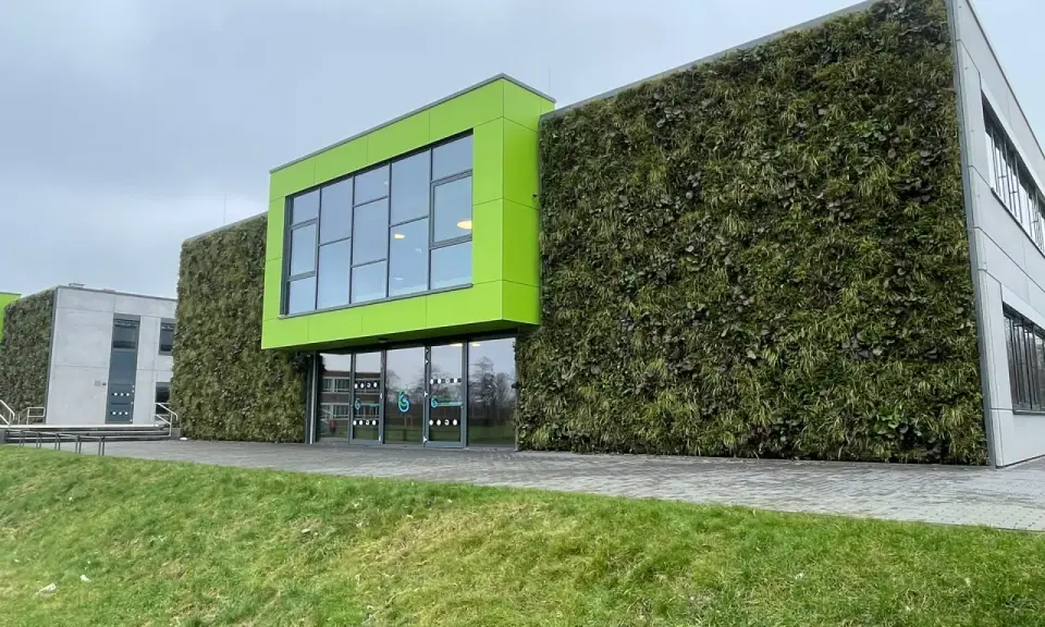 Nowoczesny budynek z zieloną elewacją domu, pokrytą gęstą roślinnością. Jasnozielony akcent architektoniczny z oknami.