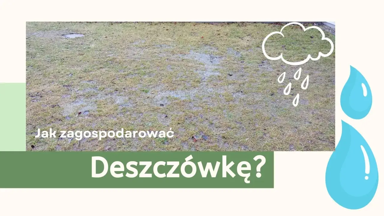 Woda stojąca na trawniku po deszczu, z rysunkiem chmury i kropli. Jak zagospodarować deszczówkę?